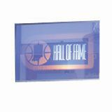 Da-Lite Holo Rear Projection Screen - 20036