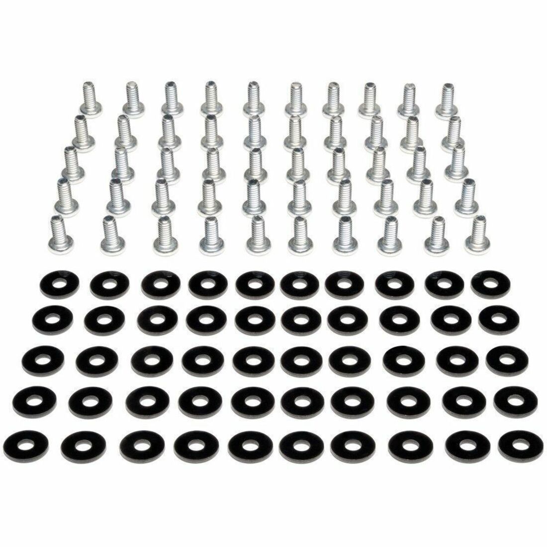 Tripp Lite by Eaton SmartRack Threaded Hole Hardware Kit - 50 each #12-24 screws - SRSCREWS