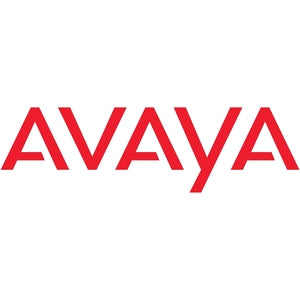 Avaya 19" Rack Mounting Kit - 700429202