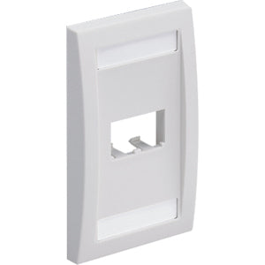 PANDUIT 2-Socket Faceplate - CFPE2IWY