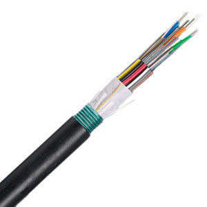 PANDUIT Fiber Optic Armored Cable - FSWN948