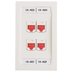 Panduit Network Faceplate - PSL-DCJB-IW-C