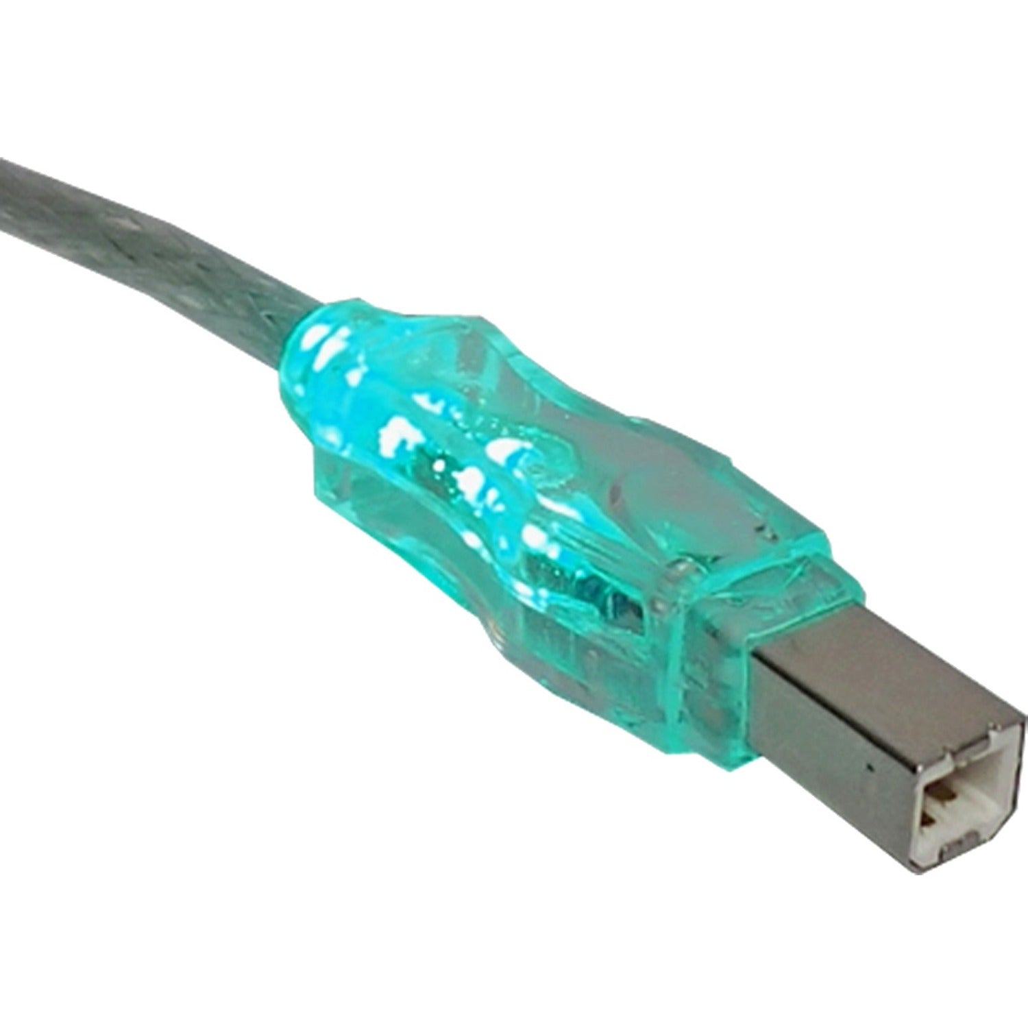 QVS USB 2.0 480Mbps Type A Male to B Male Translucent Cable with LEDs - CC2209C-10GNL