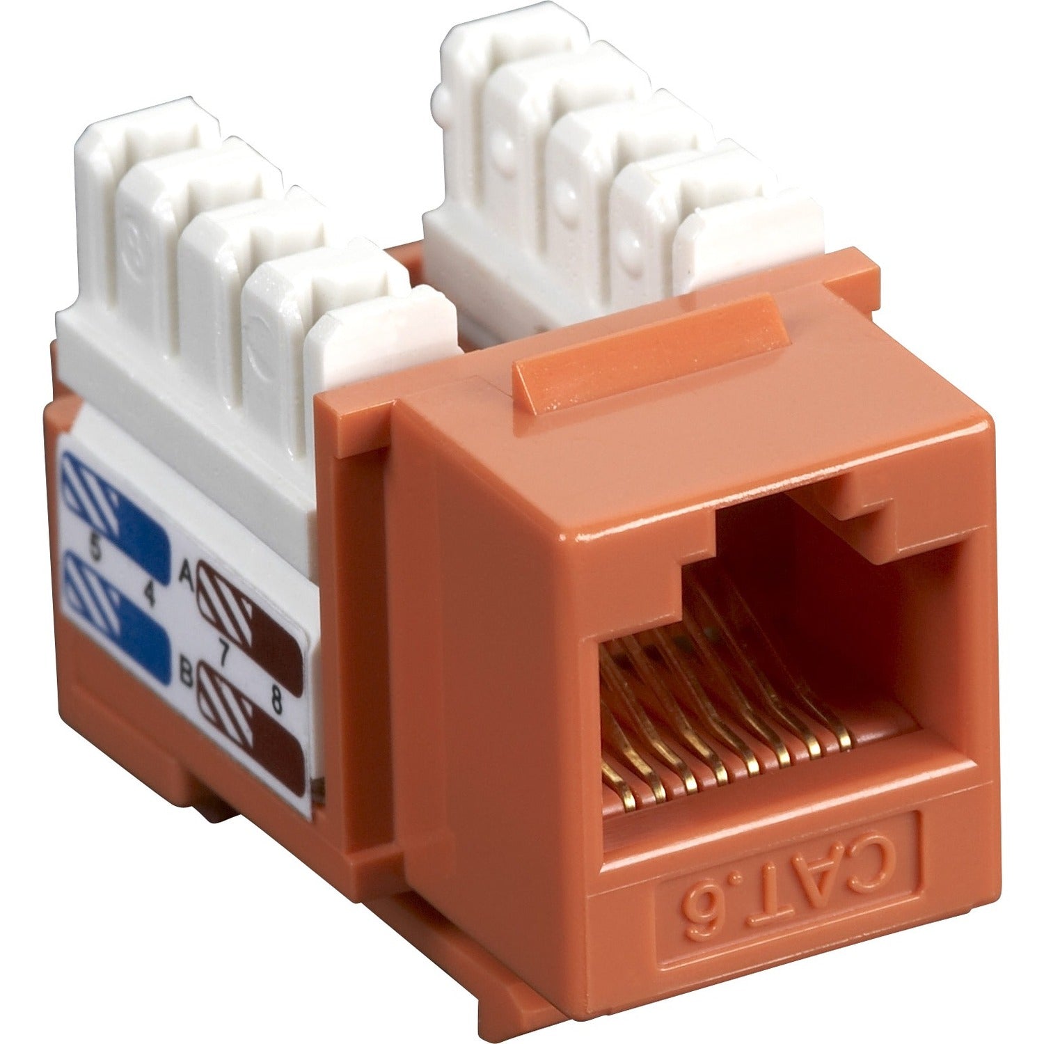 Black Box CAT6 Value Line Keystone Jack, Orange - CAT6J-OR