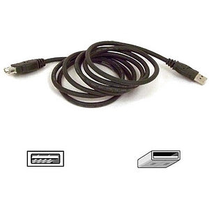 Belkin USB Extender Cable - F3U134B03