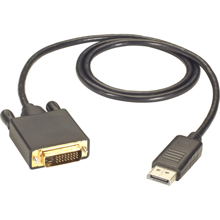 Black Box DisplayPort to DVI Cable - Male to Male, 6-ft. - EVNDPDVI-0006-MM