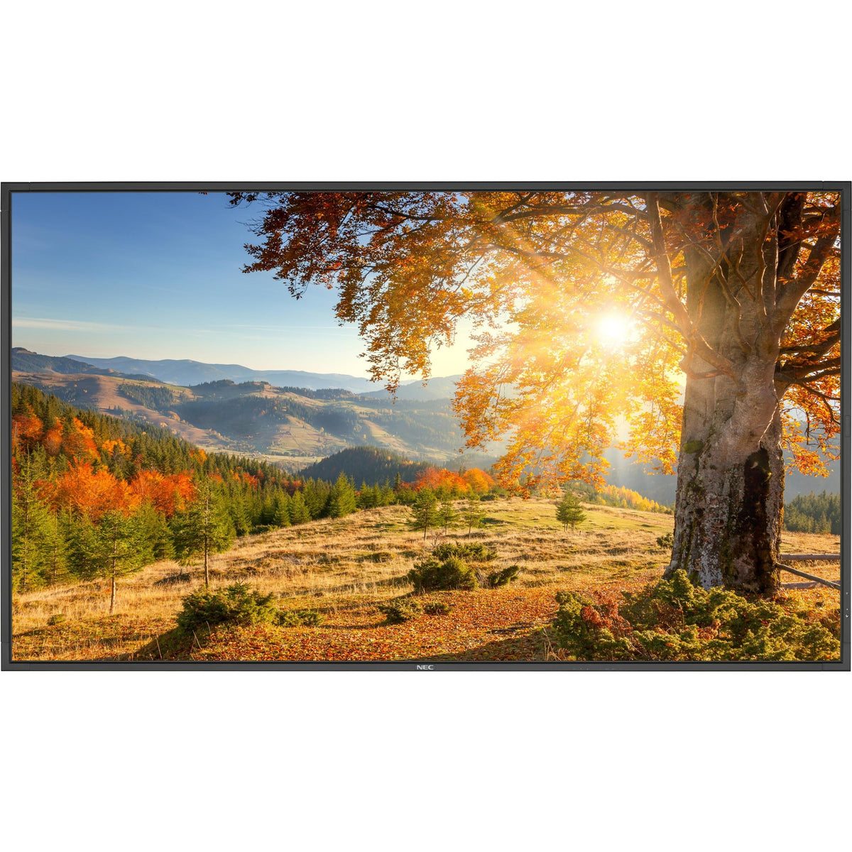 NEC Display 75" LED Backlit High Brightness Display - X754HB