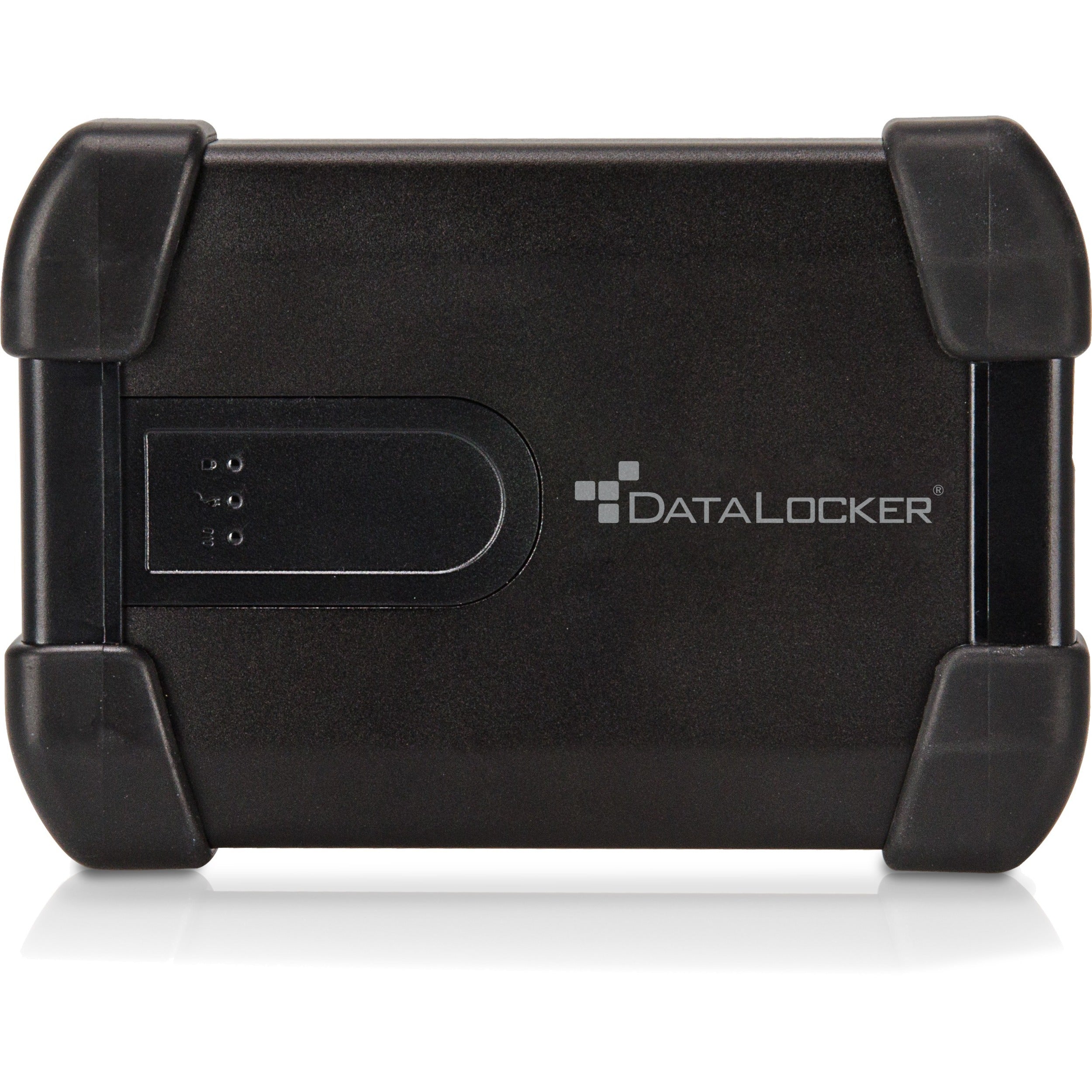 DataLocker H300 Encrypted 500 GB Hard Drive - 2.5" Drive - External - MXKB1B500G5001-B