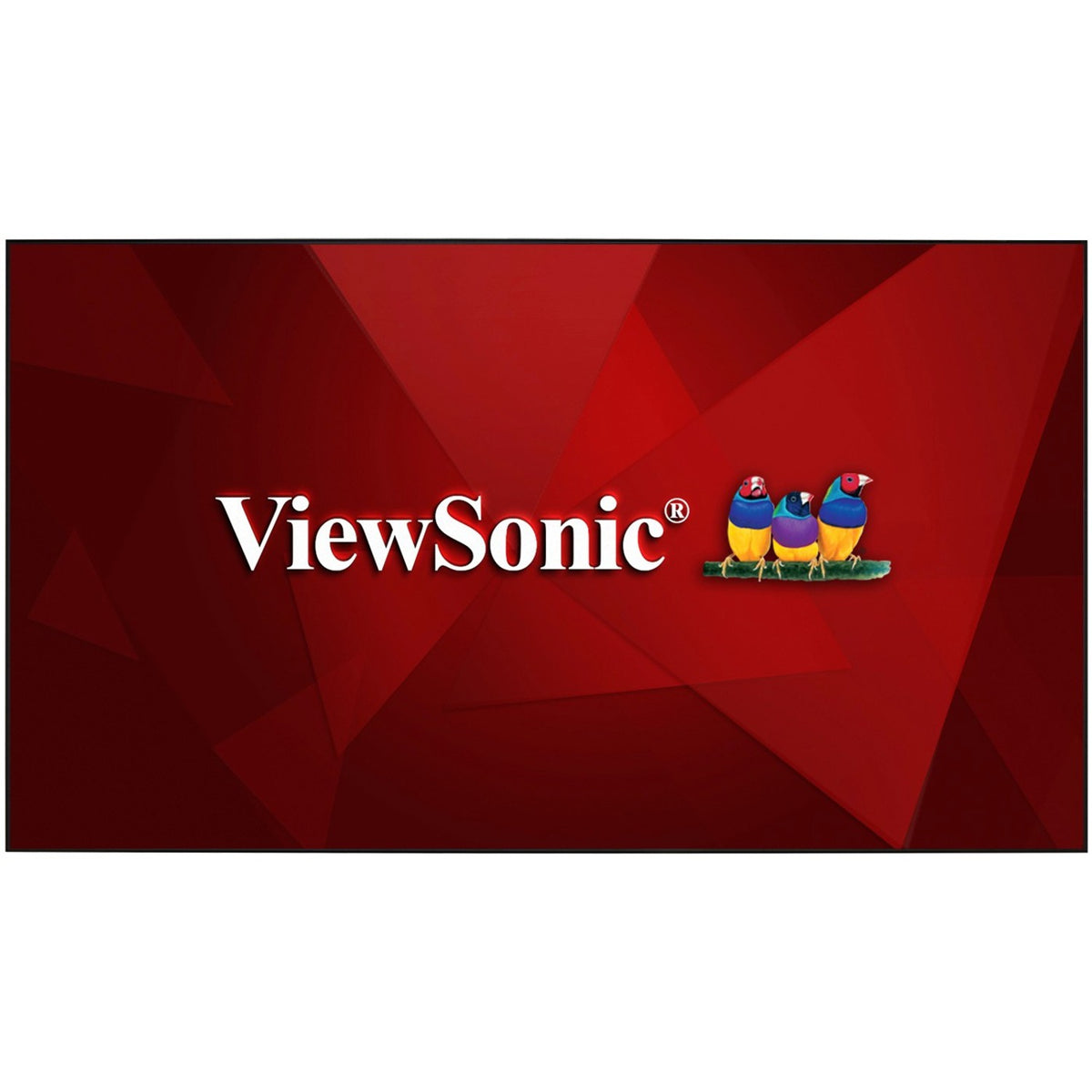 ViewSonic BCP100 100-Inch Home Theater Screen for Ultra Short Throw Projectors - BCP100