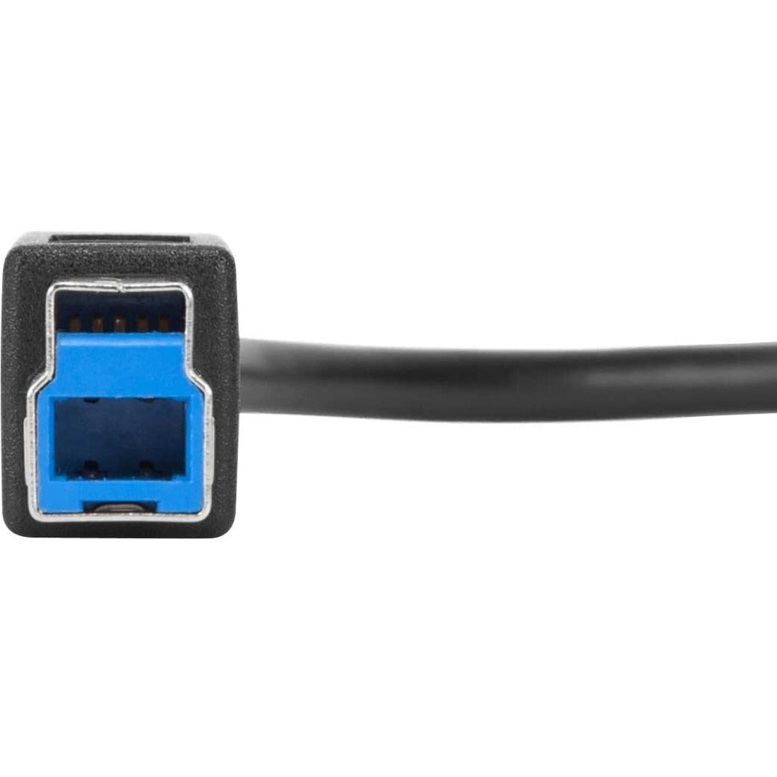 Targus 1-Meter USB-C to USB-B 5Gbps Cable - ACC924USX