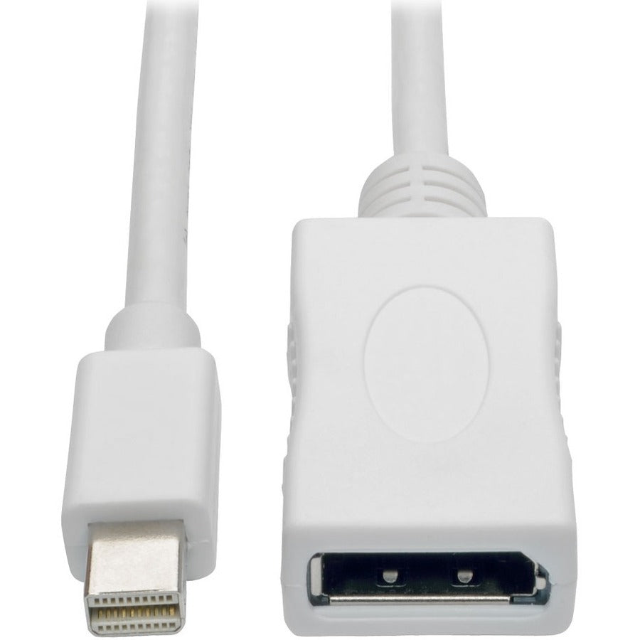 Eaton Tripp Lite Series Keyspan Mini DisplayPort to DisplayPort Adapter Cable (M/F), 4K 60 Hz, DP 1.2, HDCP 2.2, 10 ft. (3.1 m) - P139-010-DP-V2B