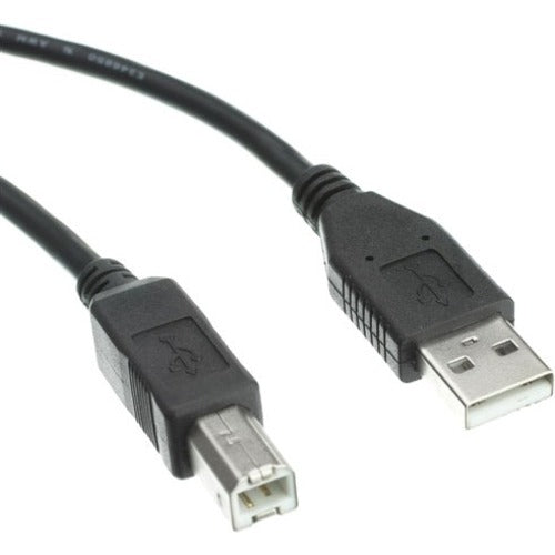 Axiom USB 2.0 Type-A to USB Type-B Cable M/M 10ft - USB2ABMM10-AX