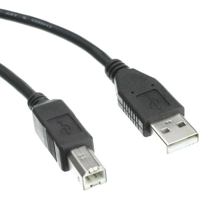 Accortec USB 2.0 Type-A to Type-B Cable M/M 3ft - USB2ABMM03-ACC