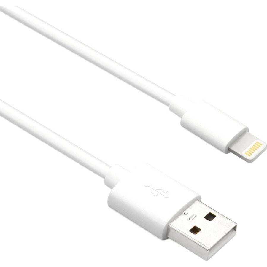 Axiom Lightning to USB-A M/M Adapter Cable - White 6ft - LGMUSBAMW06-AX