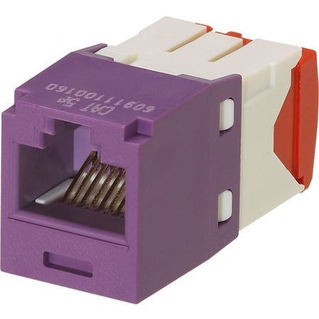 Panduit Mini-Com Cat.5e Network Connector - CJ5E88TGVL-24