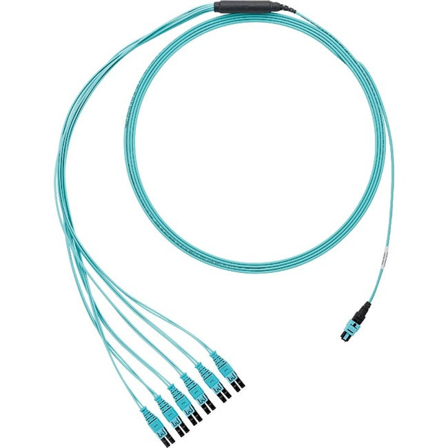 Panduit Fiber Optic Network Cable - FXTRP8NQSONF006