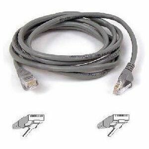 Belkin Cat5e Patch Cable - A3L791-25-M