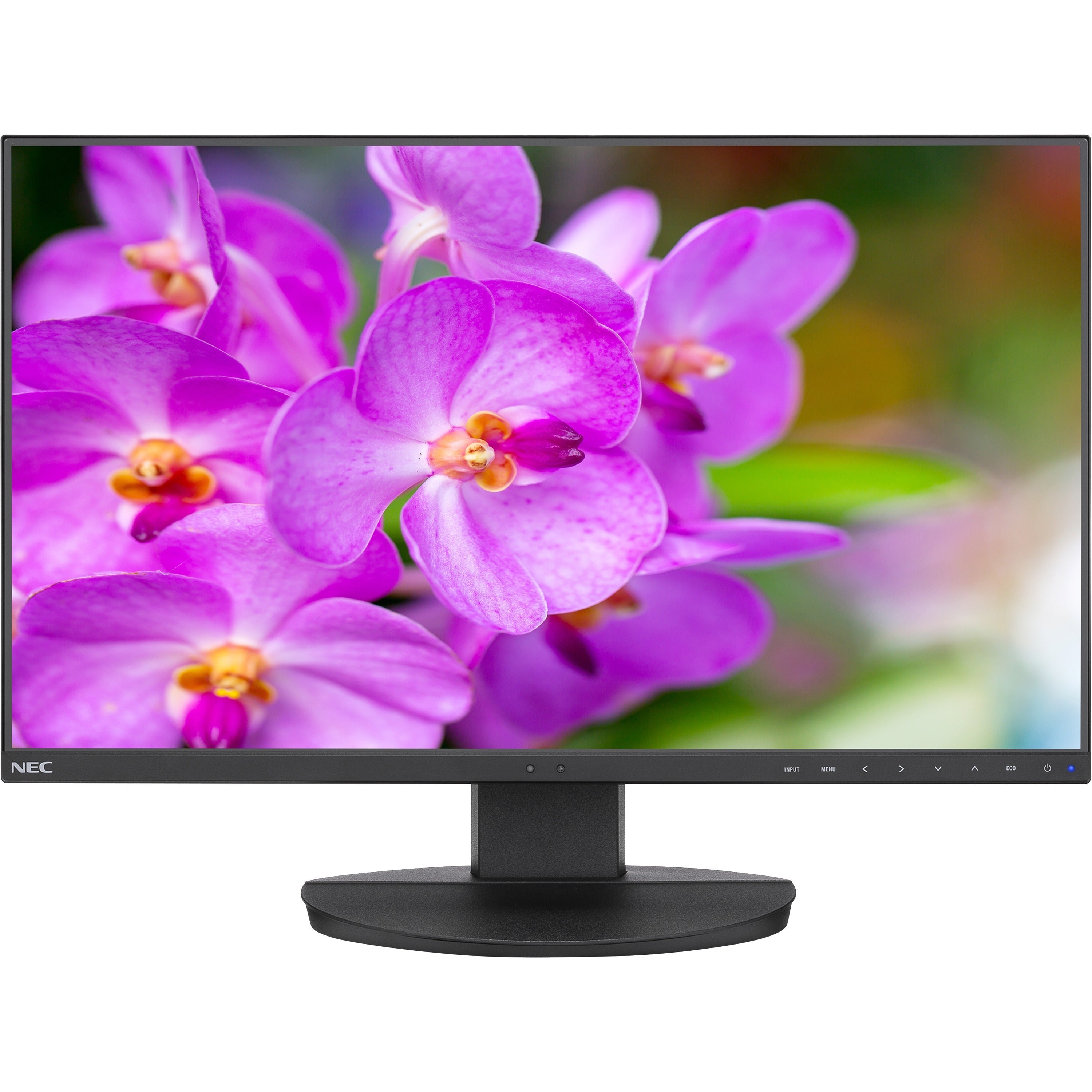 NEC Display MultiSync EA241F-BK Full HD LCD Monitor - 16:9 - Black - EA241F-BK