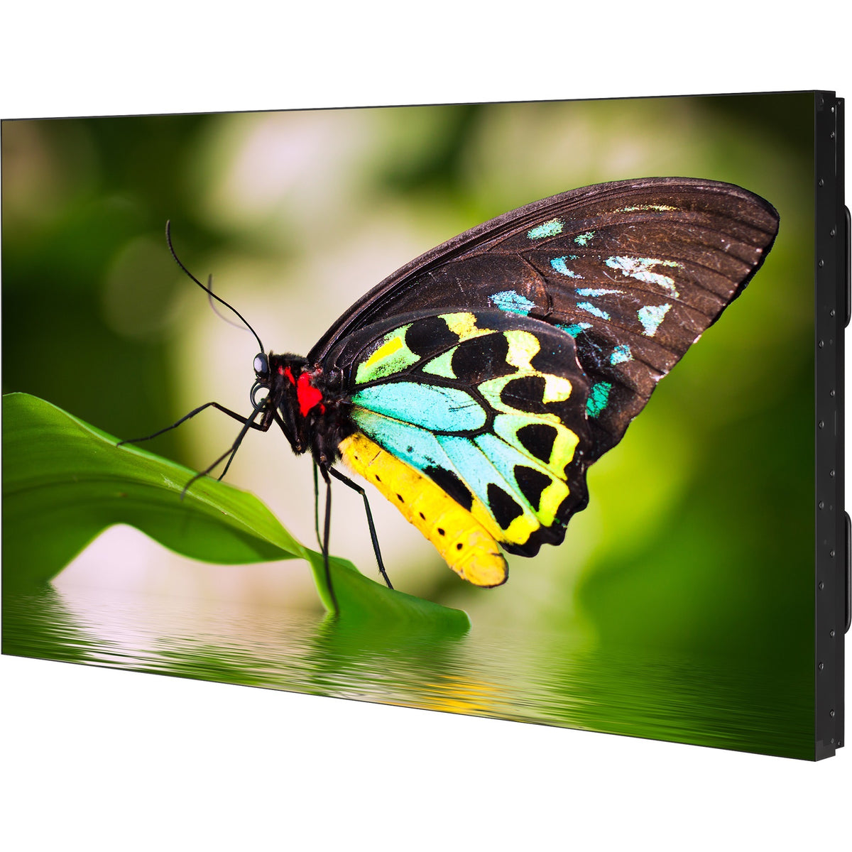 NEC Display 55" Ultra-Narrow Bezel 4 display video wall - UN552-TMX4P