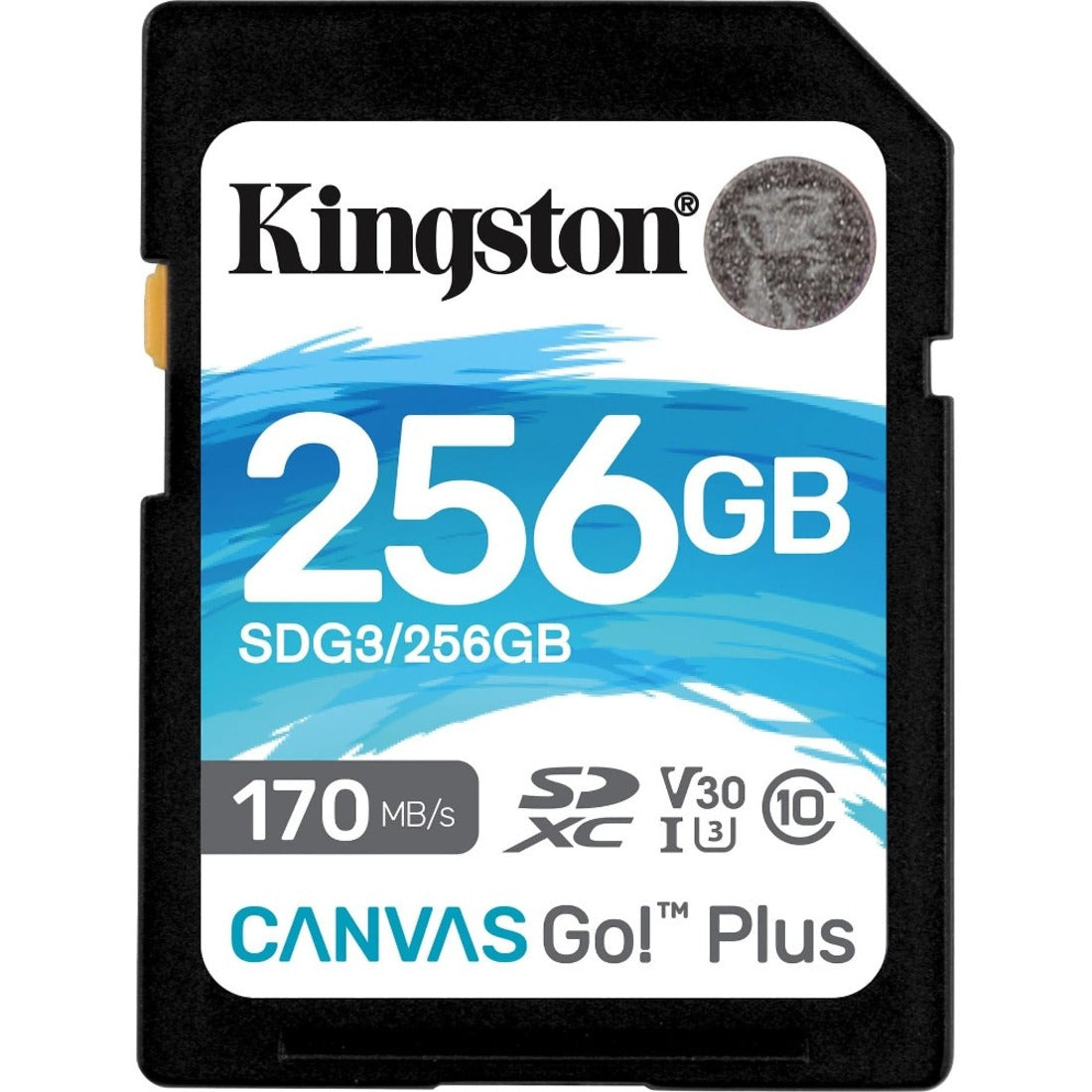 Kingston Canvas Go! Plus SDG3 256 GB Class 10/UHS-I (U3) SDXC - 1 Pack - SDG3/256GB