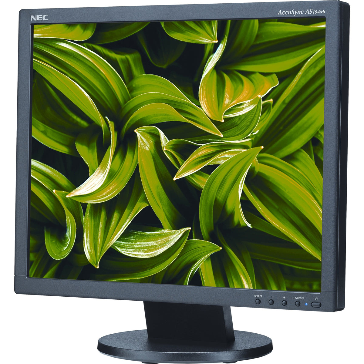 NEC Display AccuSync AS194MI-BK 19" Class SXGA LCD Monitor - 5:4 - AS194MI-BK