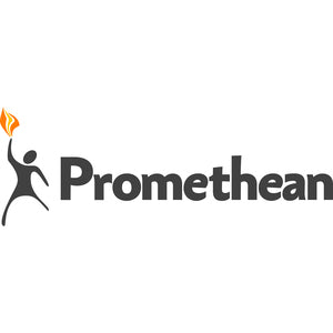 Promethean Wall Mount for Interactive Display, Touchscreen Monitor - AP-ASF-90