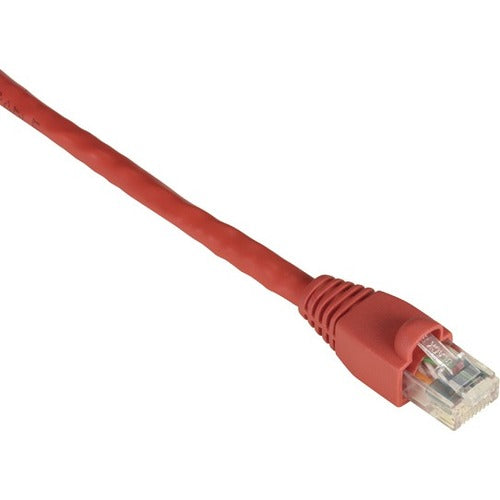 Black Box GigaTrue Cat. 6 UTP Patch Cable - EVNSL643-0006