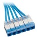 Panduit Category 6, UTP Riser Blue Cable with Blue Cassette to Blue Cassette - QCRBCCB0001F025