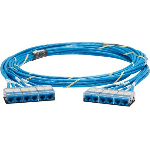 Panduit Category 6, UTP Riser Blue Cable With Blue Cassette to Blue Cassette - QCRBCCB0001F035