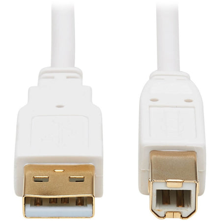 Eaton Tripp Lite Series Safe-IT USB 2.0 A to B Antibacterial Cable (M/M), White, 10 ft. (3.05 m) - U022AB-010-WH