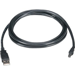 Black Box USB 2.0 A to Mini B Cable - USB06-0006