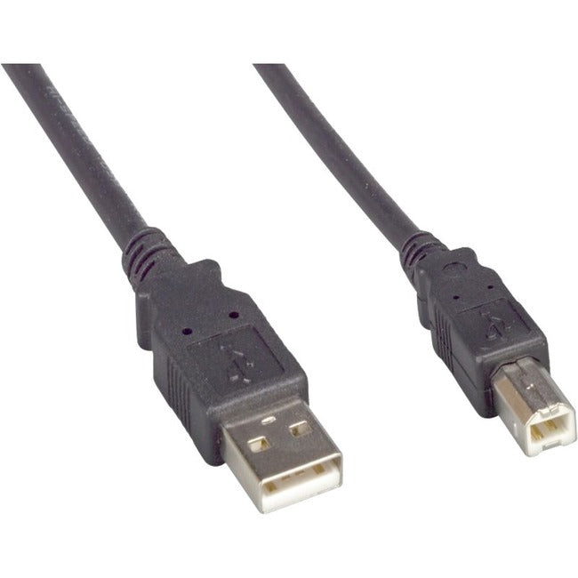 ENET USB 2.0 A Male to B Male 10FT Black Cable - USB2.0MAMB-10F