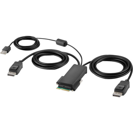Belkin Modular DP Dual-Head Host Cable 6 ft. - F1DN2MOD-HC-P06