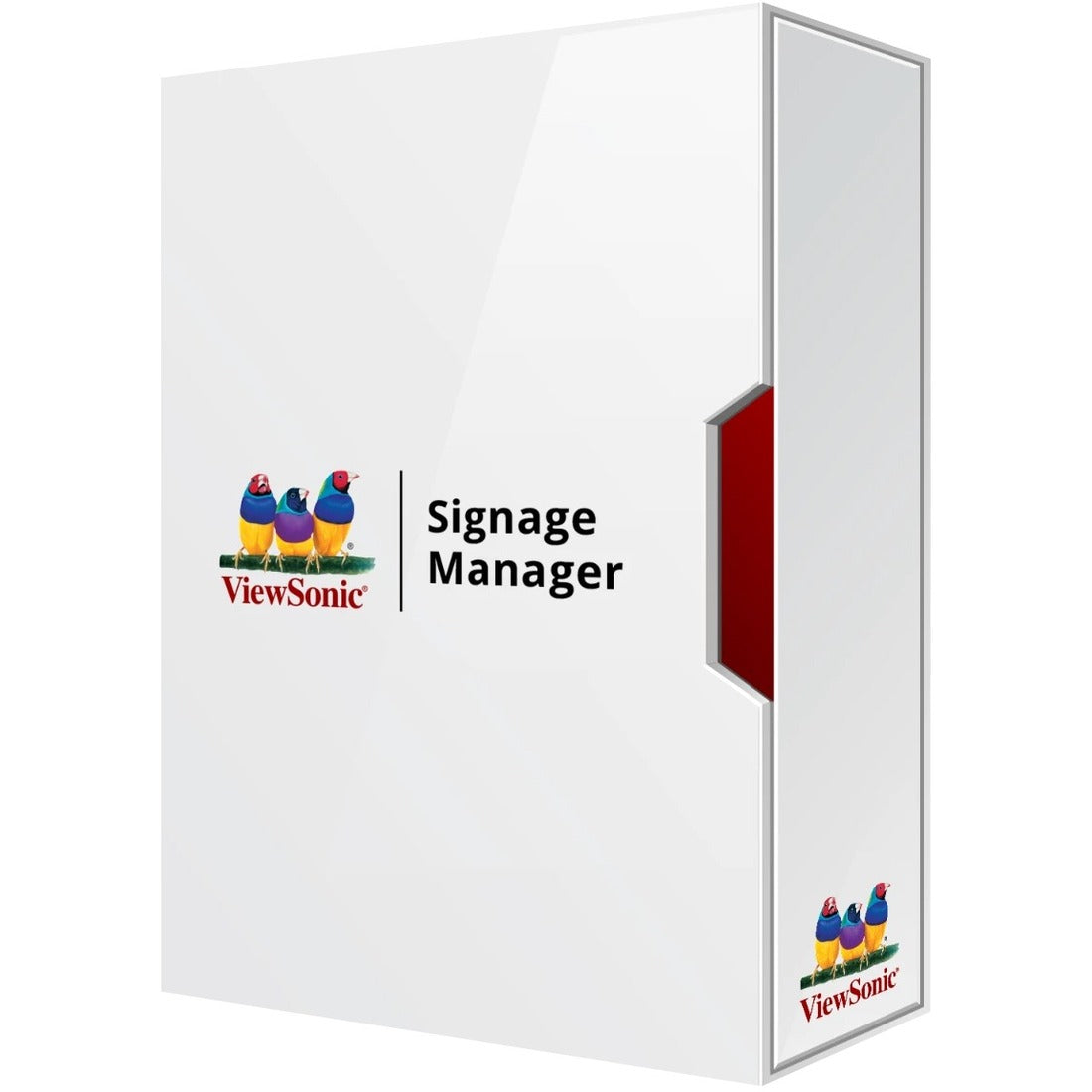 ViewSonic Signage Manager CMS - Perpetual License - 1 License - SW-216