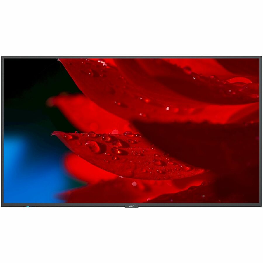 NEC Display 55" Wide Color Gamut Ultra High Definition Professional Display - MA551