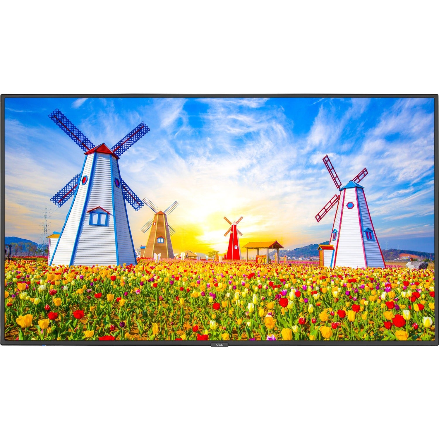 NEC Display 65" Ultra High Definition Professional Display with Built-In Intel PC - M651-PC5