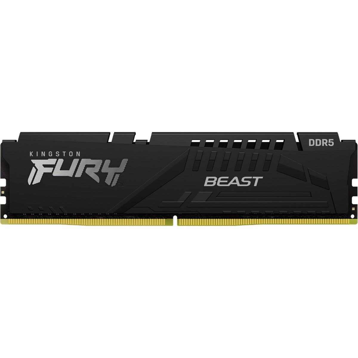 Kingston FURY Beast 16GB DDR5 SDRAM Memory Module - KF552C40BB-16