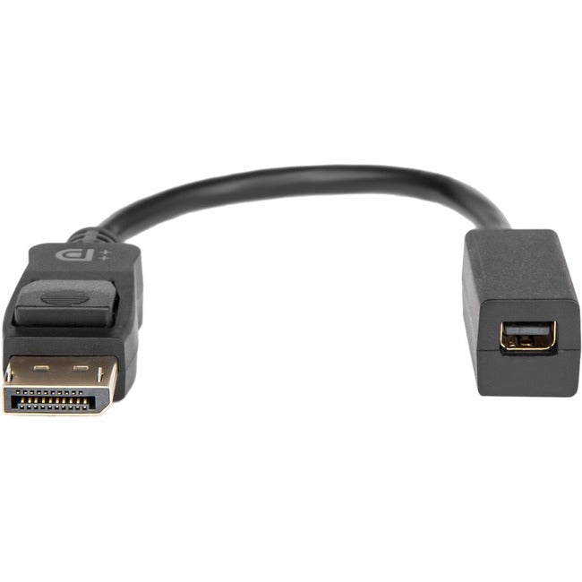 Rocstor Premium DisplayPort to Mini DisplayPort Adapter - Y10C270-B1