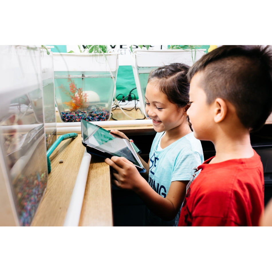 SMART Lumio - Subscription - 5 Year - LUM-SW-5