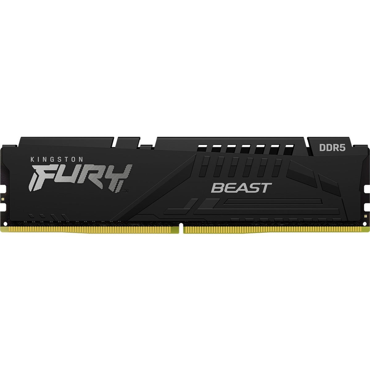 Kingston FURY Beast DDR5 Memory - KF560C40BBK2-32