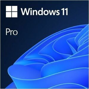 Microsoft Windows 11 Pro 64-bit - Box Pack - 1 License - HAV-00162