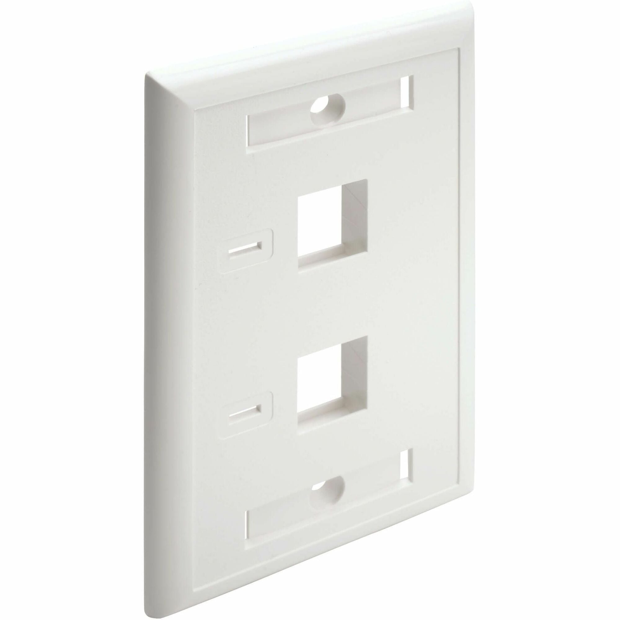 Eaton Tripp Lite Series 2-Port Keystone Faceplate, Single Gang, ID Labels, White, TAA - N042-001-WH