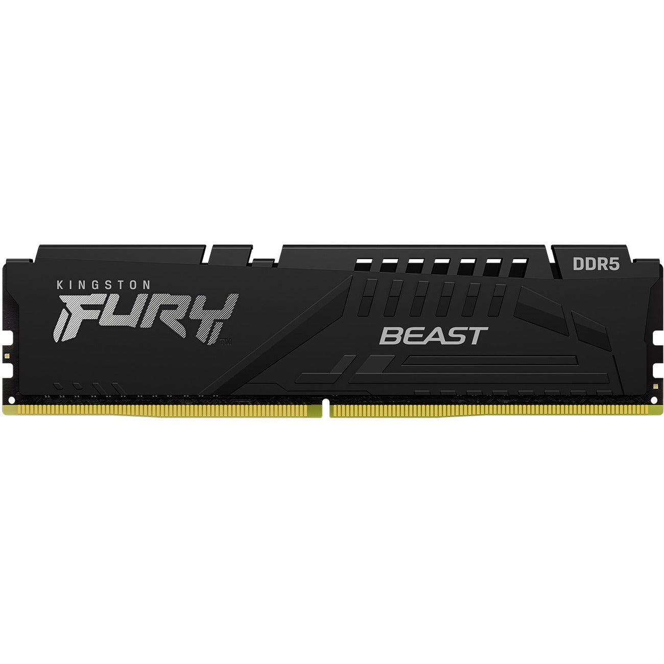 Kingston FURY 16GB DDR5 SDRAM Memory Module - KF552C36BBE-16