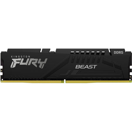 Kingston FURY 16GB DDR5 SDRAM Memory Module - KF552C36BBE-16