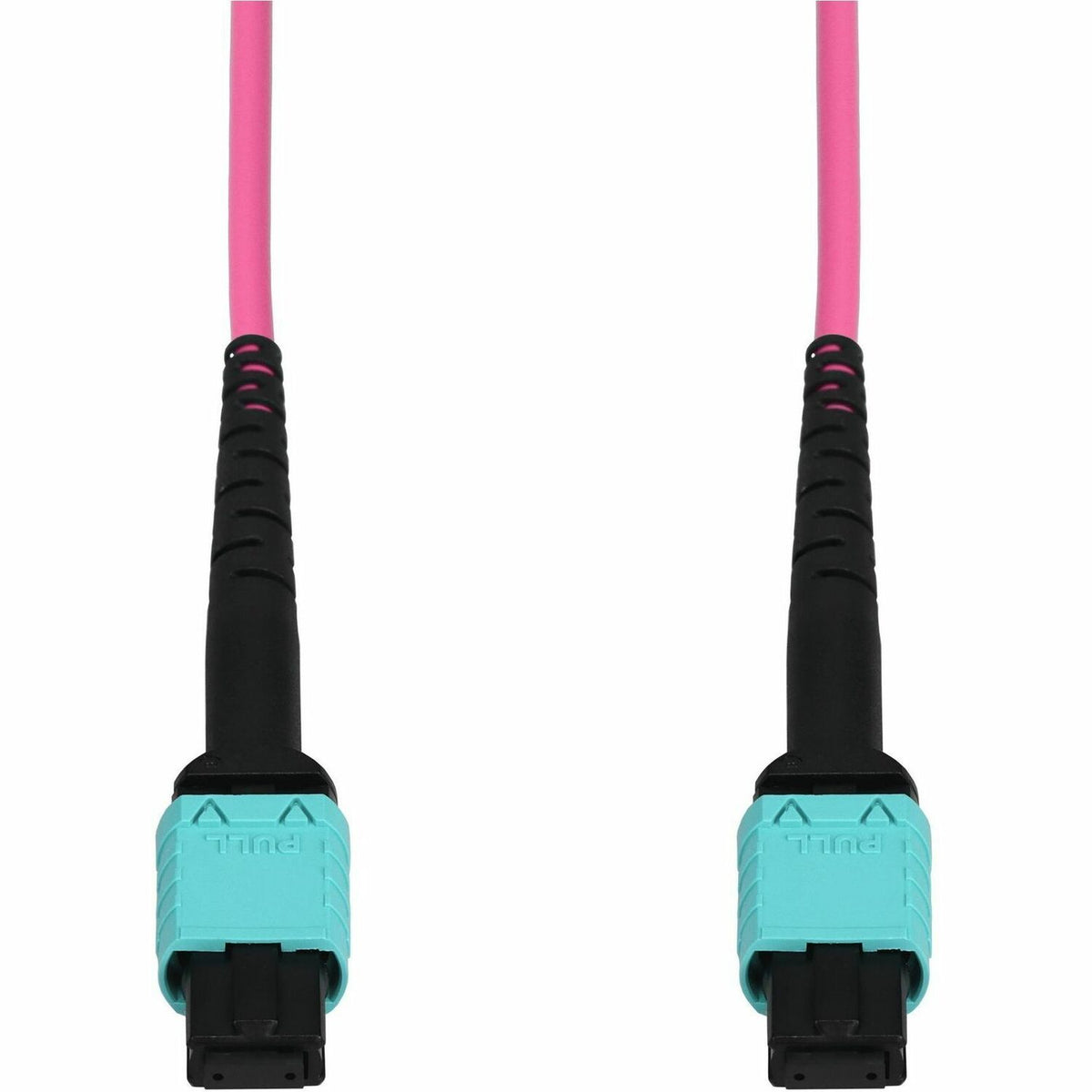AddOn 30m MPO/UPC to MPO/UPC Magenta OM4 OFNR (Riser-Rated) 12-Strand Fiber Patch Cable - ADD-MPOMPO-30M5OM4-MA