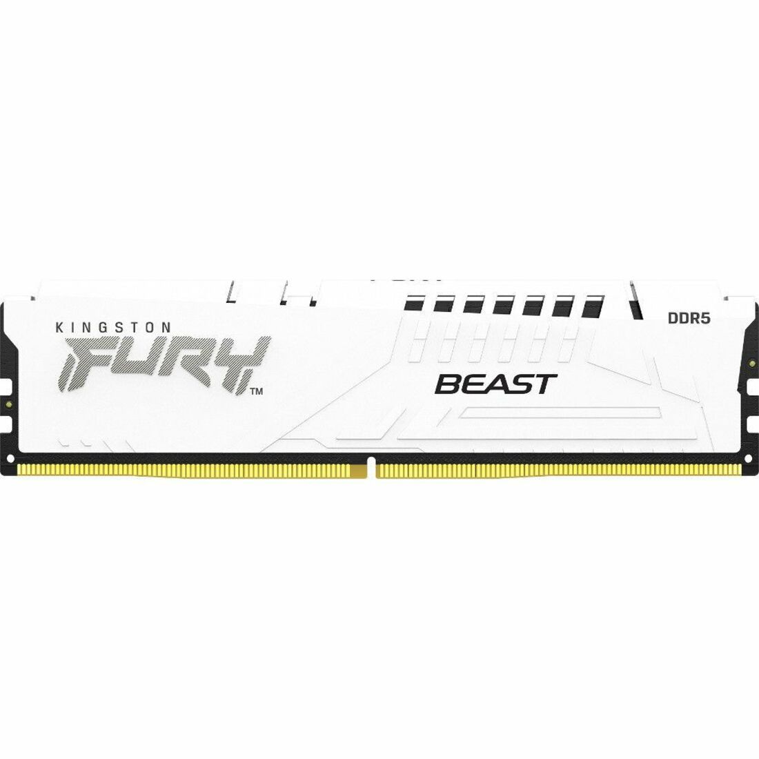 Kingston FURY Beast 16GB DDR5 SDRAM Memory Module - KF556C36BWE-16