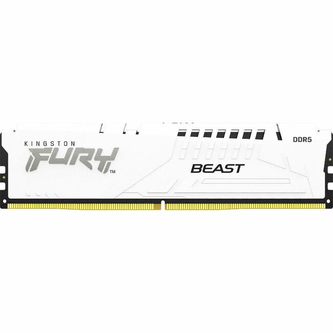 Kingston FURY Beast 16GB DDR5 SDRAM Memory Module - KF556C40BW-16