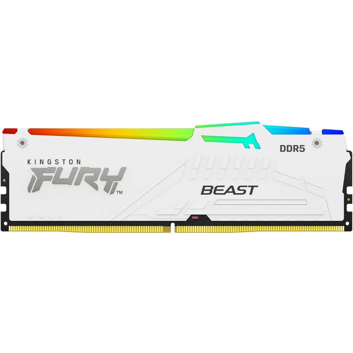 Kingston FURY Beast 16GB DDR5 SDRAM Memory Module - KF556C40BWA-16