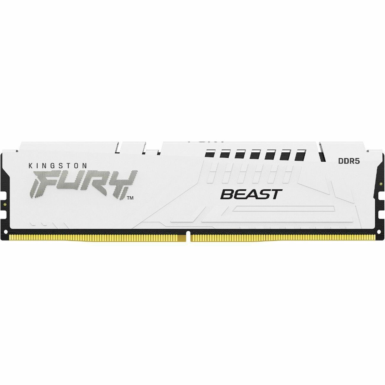 Kingston FURY Beast 64GB (2 x 32GB) DDR5 SDRAM Memory Kit - KF560C36BWEK2-64