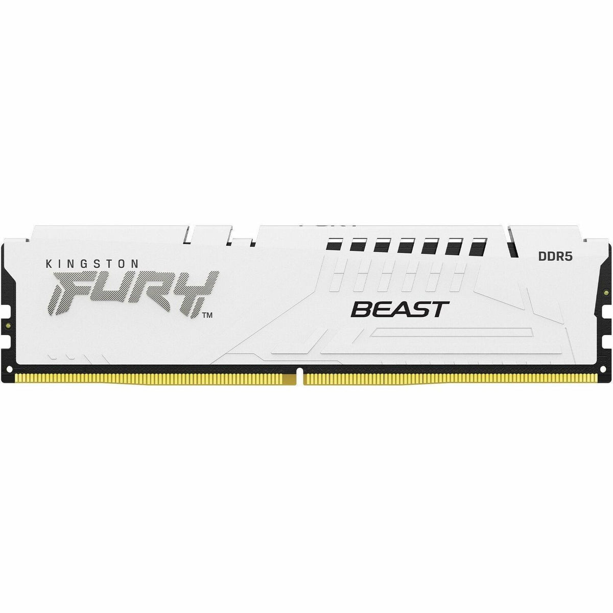 Kingston FURY Beast 16GB DDR5 SDRAM Memory Module - KF560C40BW-16